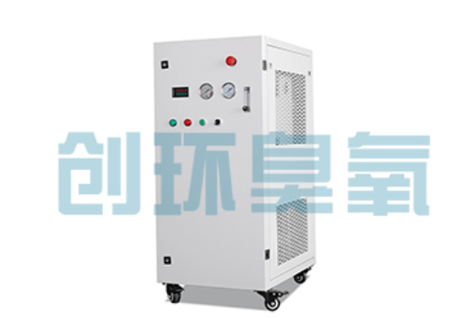陕西石斑鱼养殖水质调控完整指南：臭氧发生器配置与操作步骤