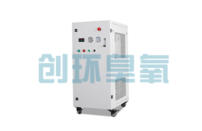 陕西比传统换水更高效？臭氧发生器在石斑鱼养殖中的水质净化原理解析