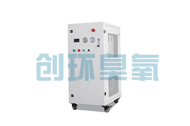陕西比传统换水更高效？臭氧发生器在石斑鱼养殖中的水质净化原理解析